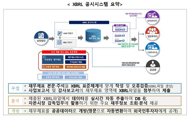 ⓒ금융감독원