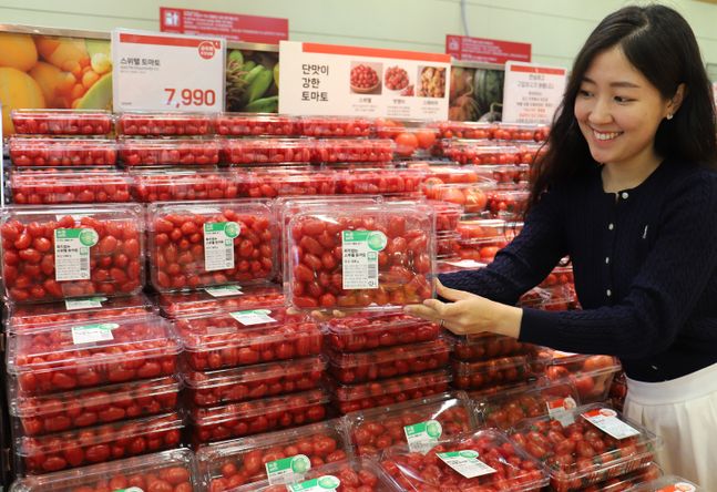 롯데마트 서울역점에서 100% 재생 플라스틱 용기 토마토를 들고있다.ⓒ롯데쇼핑