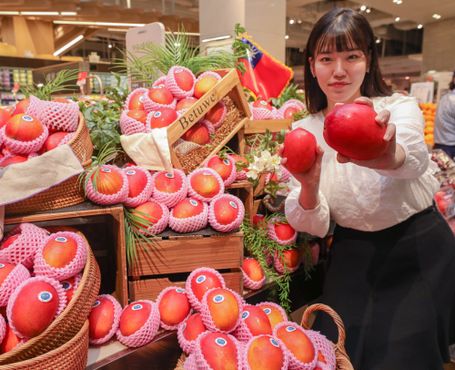 현대백화점이 주한대만대표부와 함께 '대만 애플망고 특별전'을 진행한다.ⓒ현대백화점