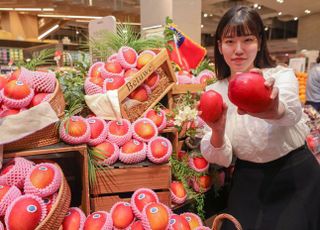 이번 주말 잘 익은 대만 애플망고 맛보세요