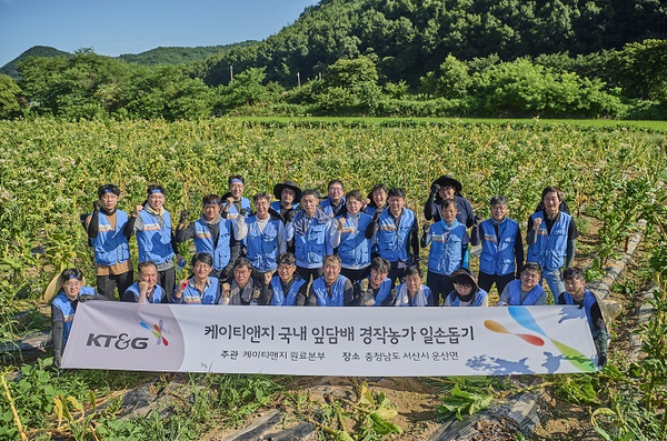 KT&G가 잎담배 농가의 일손을 돕기 위해 충남 서산시 운산면에서 8월 4일 잎담배 수확 봉사를 진행했다. 사진은 KT&G 임직원들이 잎담배 수확 봉사활동 단체사진을 촬영하는 모습. [제공=KT&G]
