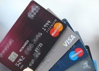 은행 신용카드 대출 연체 10년 만에 최고