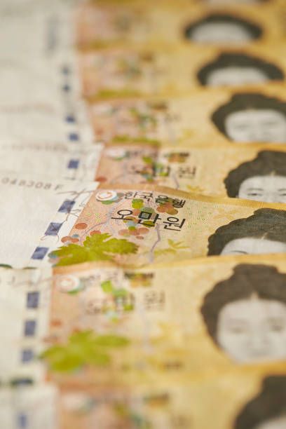 Korean money bill, 50,000 won bill