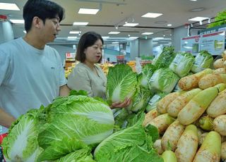 "급등한 배추값 잡는다" 대형마트, 정부비축 물량 풀고 '반값판매'