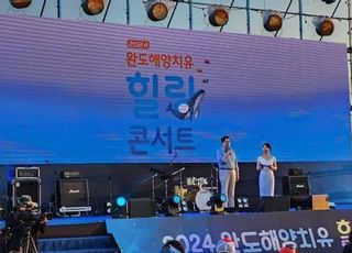 밤하늘 수놓은 음악의 향연…'완도 해양치유힐링 콘서트' 성료