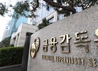 금감원, 이번주 캐피탈사 현장점검…"20%가 연체율 10%↑"