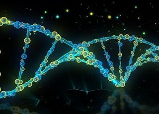 美 FDA 허들 넘나...K-항암신약 '중대기로'