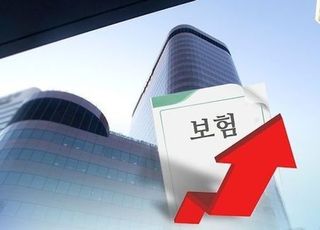 1인실 입원비 보험 절판 안끝났다…"NH손보 하루 70만원"