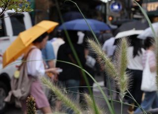 [내일(6일) 날씨] 흐리고 곳곳 소나기…낮 최고기온 32도