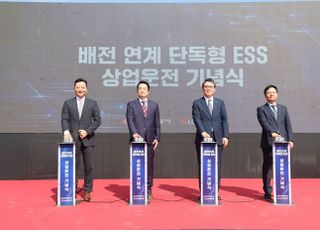 LG엔솔 사내독립기업 AVEL, 배전망 연계형 ESS 발전소 완공