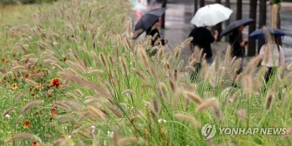 지난 12일 서울 시내에서 우산을 쓴 시민들이 출근하고 있다.ⓒ연합뉴스