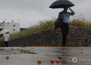 [내일(20일) 날씨] 전국 흐리고 대부분 지역에 비