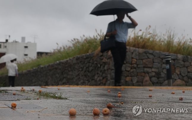 전국 대부분 지역에서 비가 내린 지난 12일 서울 시내 모습ⓒ연합뉴스