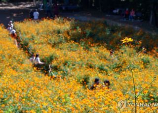 [내일(27일) 날씨] 흐리고 일교차 큰 하루…낮 최고 '30도'