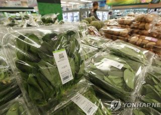 ‘시금치’ 이마트에선 1팩 2980원…정상가 대비 67% 싸