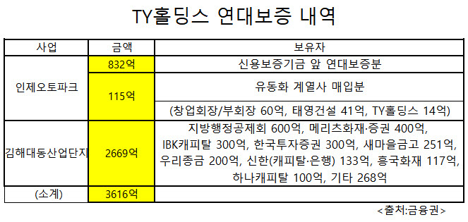 2023년 12월 28일 기준 TY홀딩스 연대보증 내역[출처:금융권, 재구성:EBN]