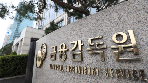 [제공=금융감독원]